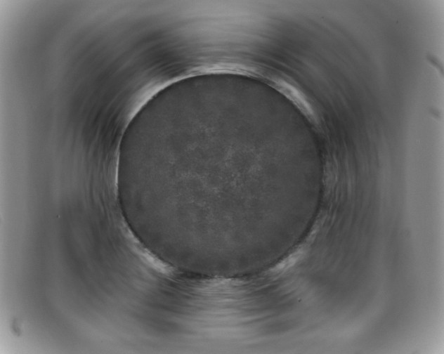 X0000099301228200805021224