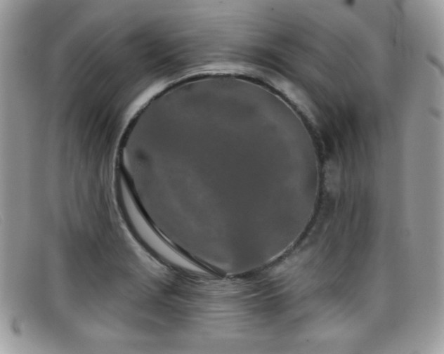 X0000099301229200805021224