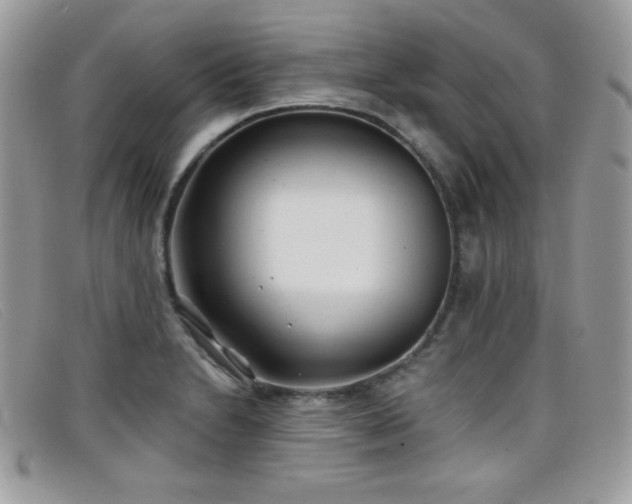 X0000099301230200805021224