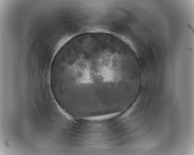 X0000099301231200805021224