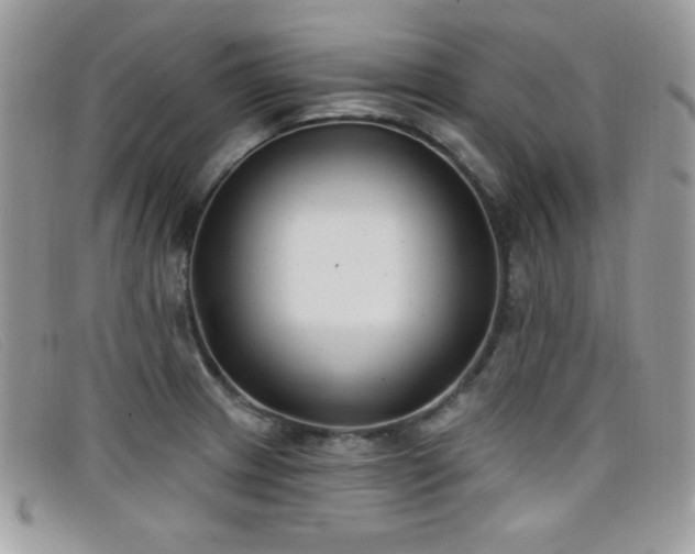 X0000099301233200805021224