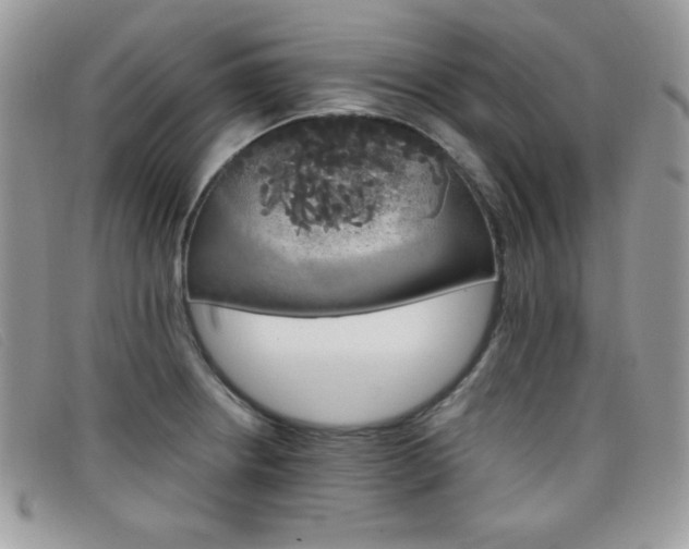 X0000099301234200805021224