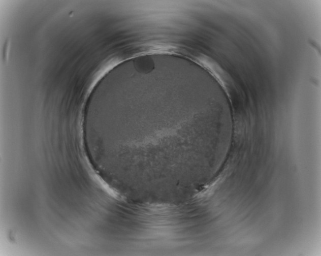 X0000099301235200805021224