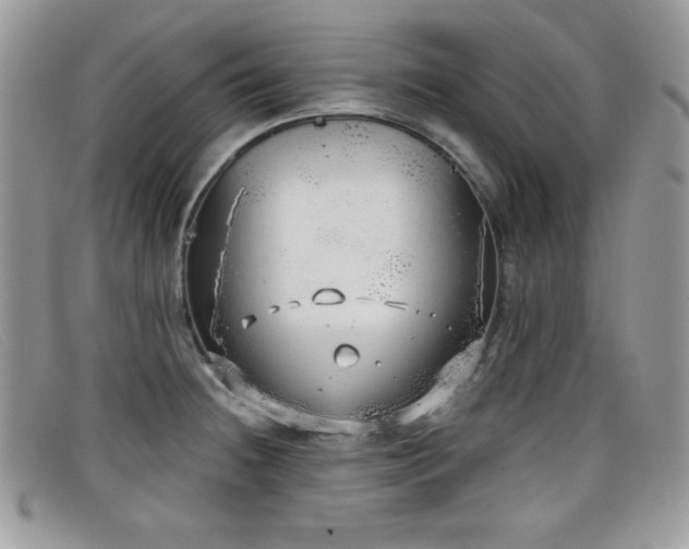 X0000099301236200805021224