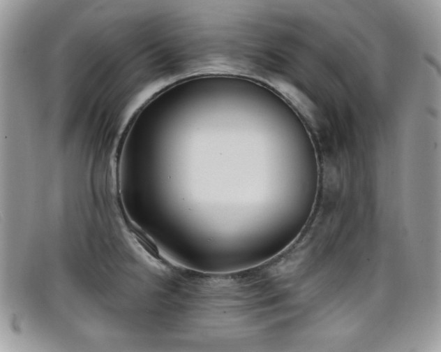 X0000099301238200805021224