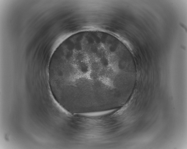 X0000099301239200805021224