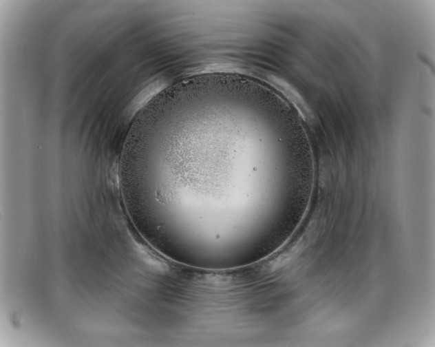 X0000099301241200805021224