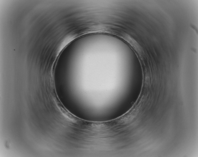 X0000099301242200805021224