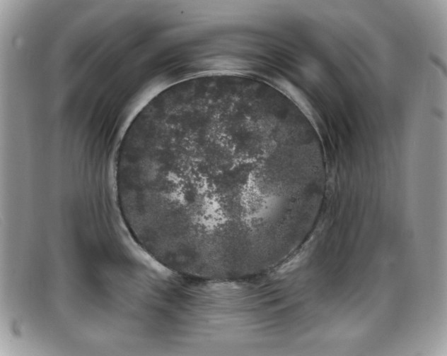 X0000099301243200805021224