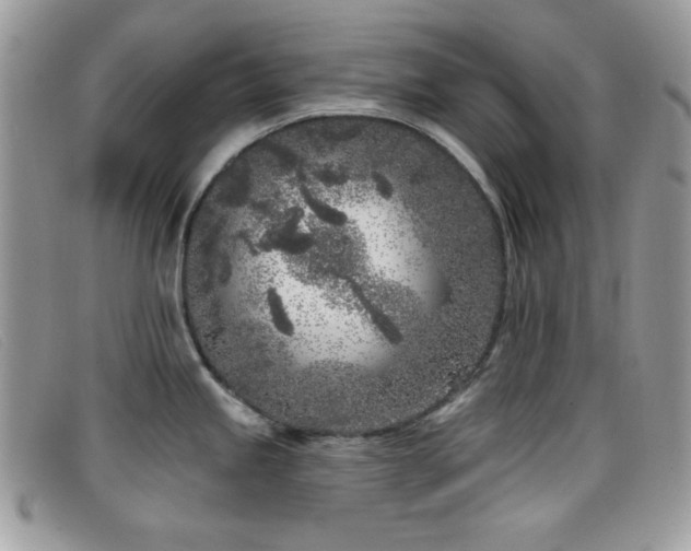 X0000099301245200805021224