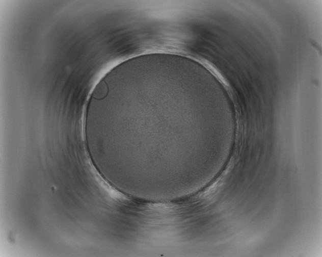 X0000099301246200805021224