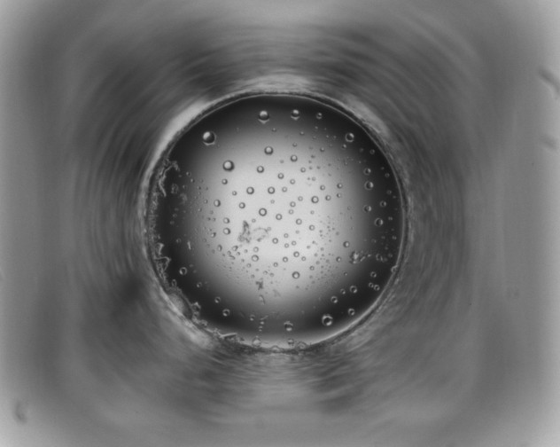 X0000099301248200805021224