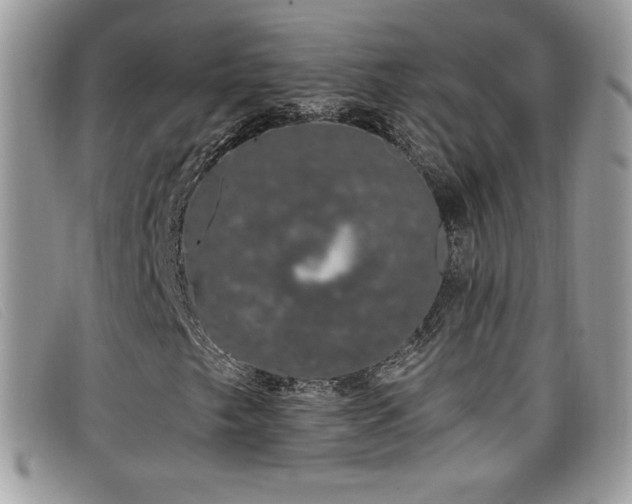 X0000099301249200805021224