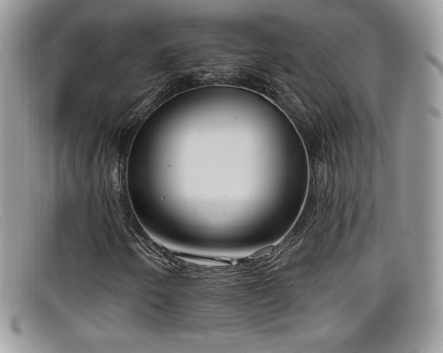 X0000099301250200805021224