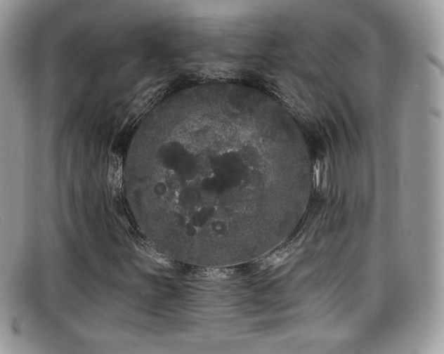 X0000099301251200805021224