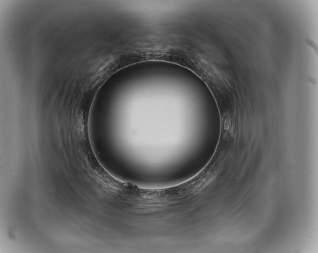 X0000099301252200805021224