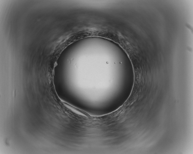 X0000099301253200805021224