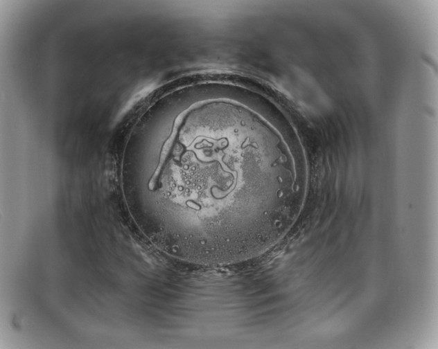 X0000099301255200805021224