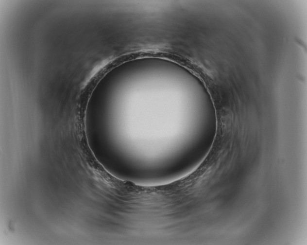 X0000099301256200805021224