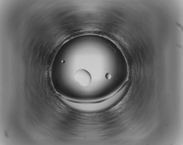 X0000099301257200805021224