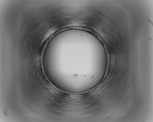 X0000099301258200805021224