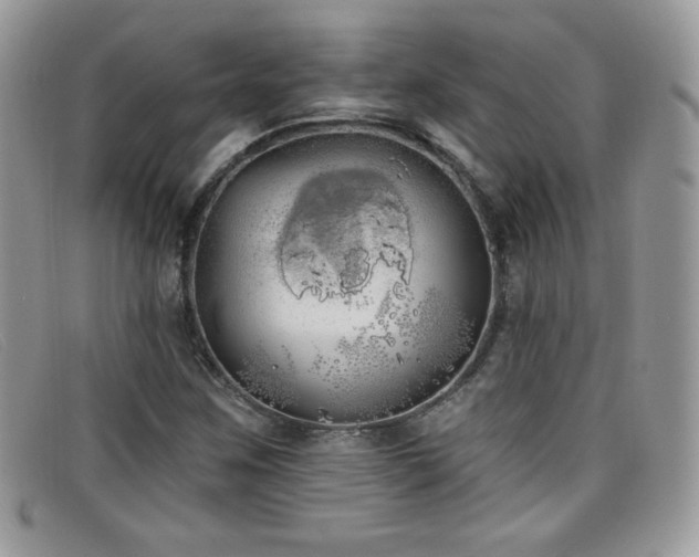 X0000099301259200805021224