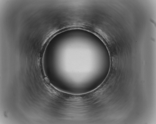 X0000099301260200805021224