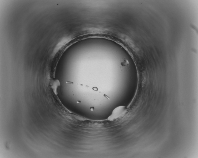 X0000099301261200805021223