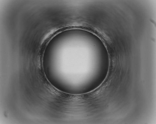 X0000099301262200805021223