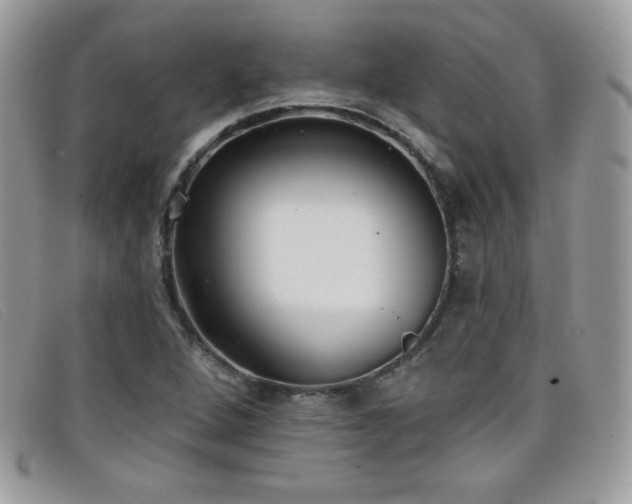 X0000099301264200805021223