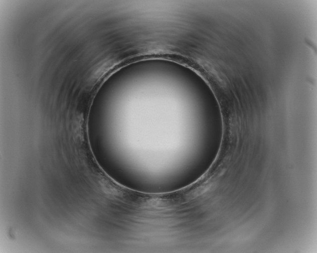 X0000099301265200805021223