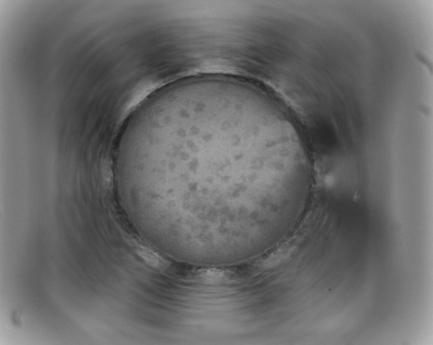 X0000099301266200805021223