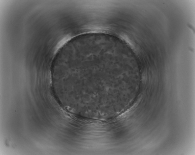 X0000099301267200805021223