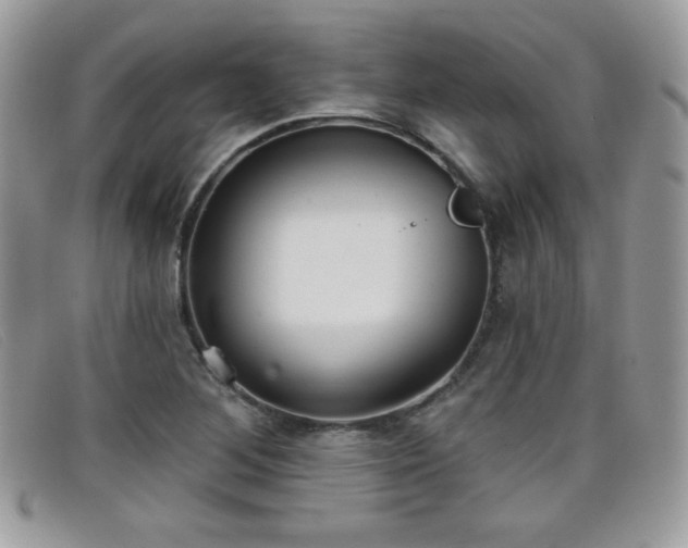 X0000099301268200805021223