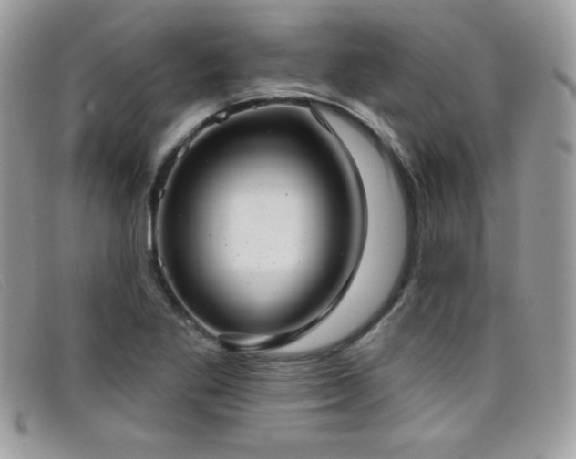 X0000099301269200805021223