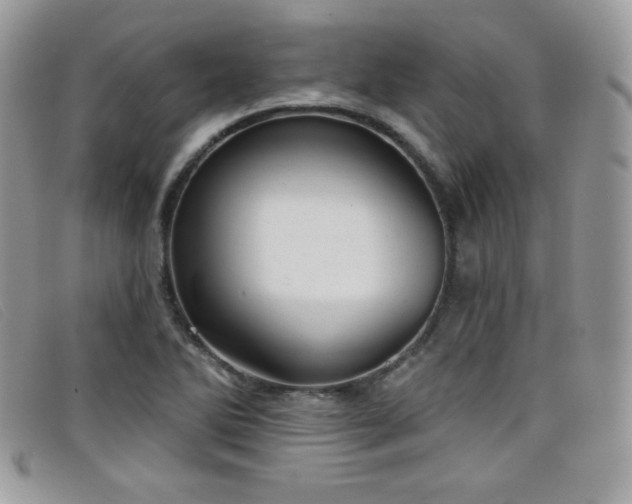 X0000099301270200805021223