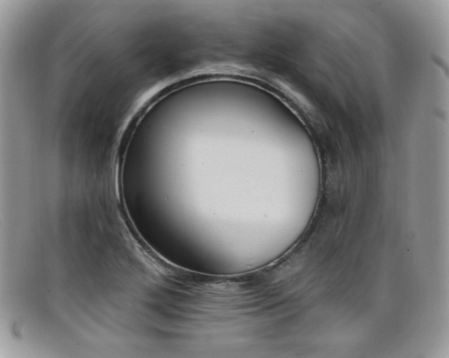 X0000099301272200805021223