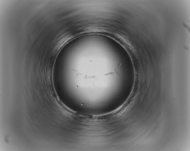 X0000099301273200805021223