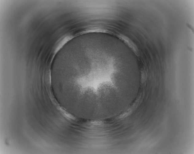 X0000099301274200805021223