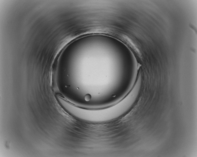 X0000099301276200805021223