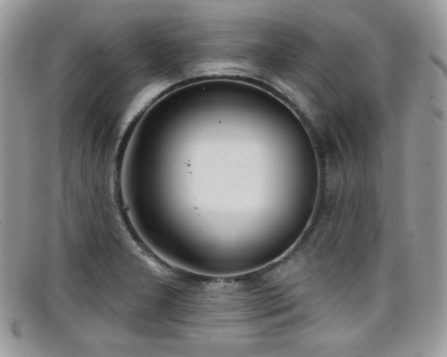 X0000099301277200805021223