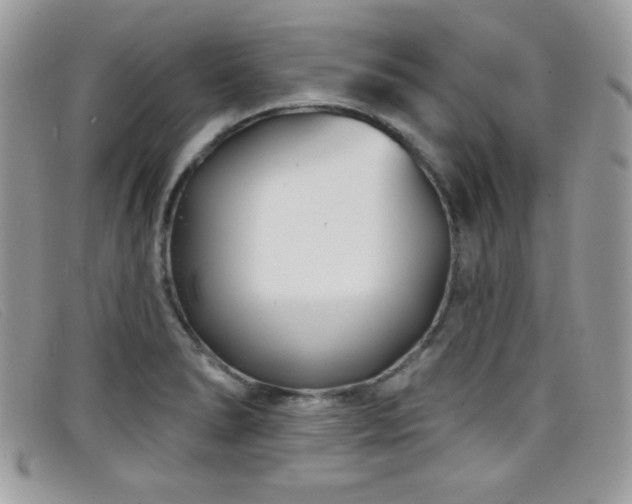 X0000099301278200805021223