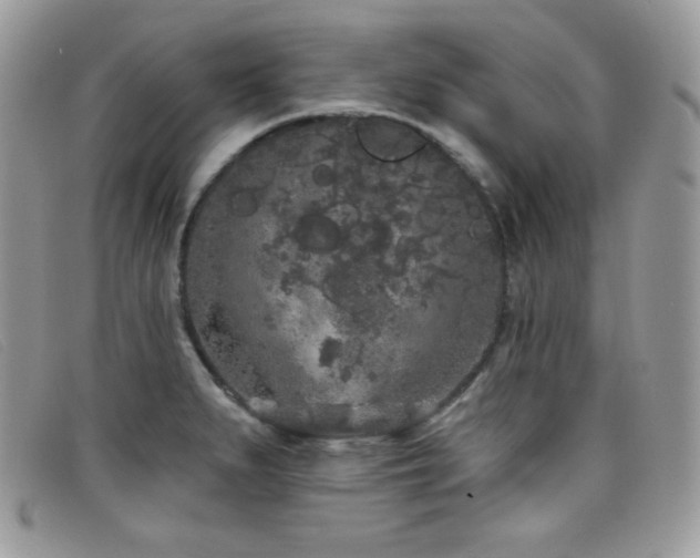 X0000099301279200805021223