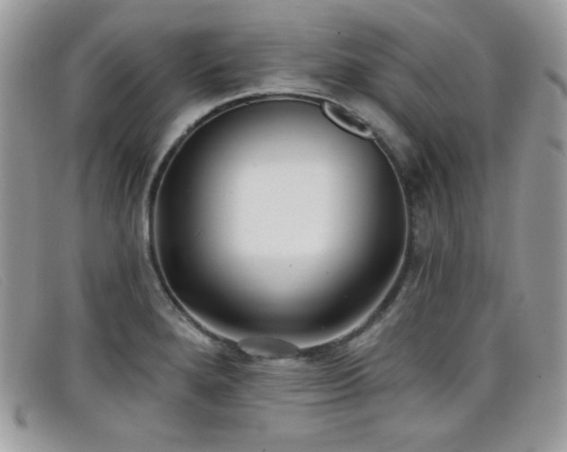 X0000099301280200805021223