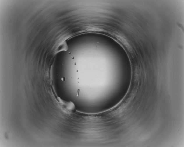 X0000099301281200805021223