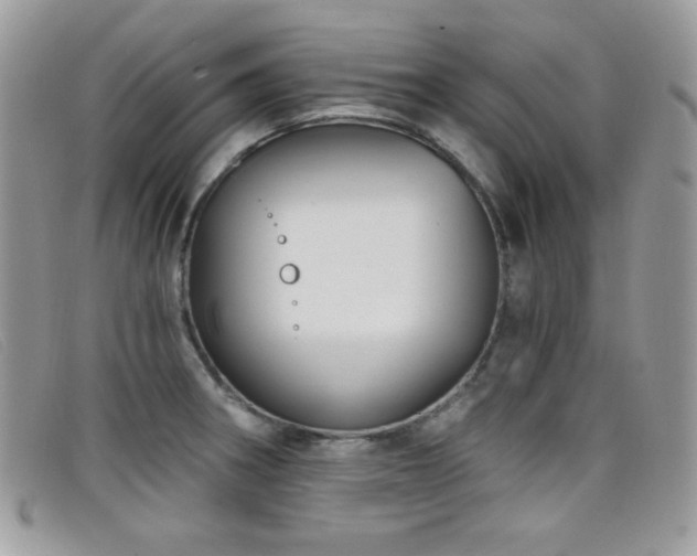 X0000099301282200805021223