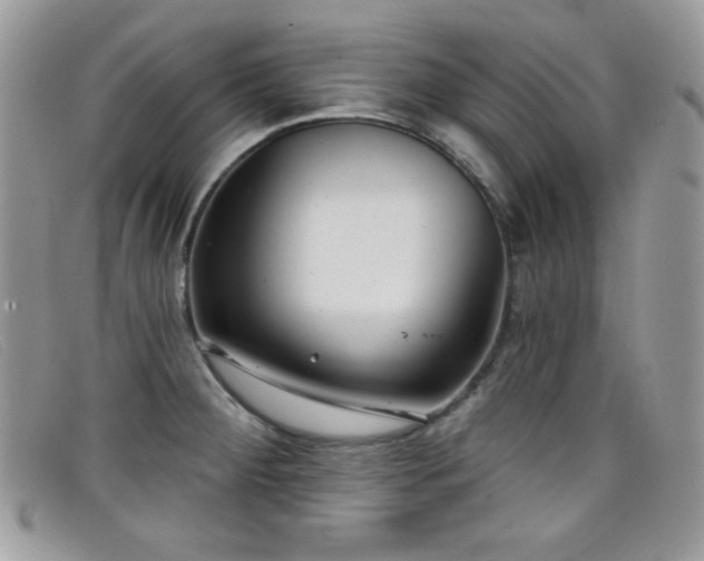 X0000099301284200805021223