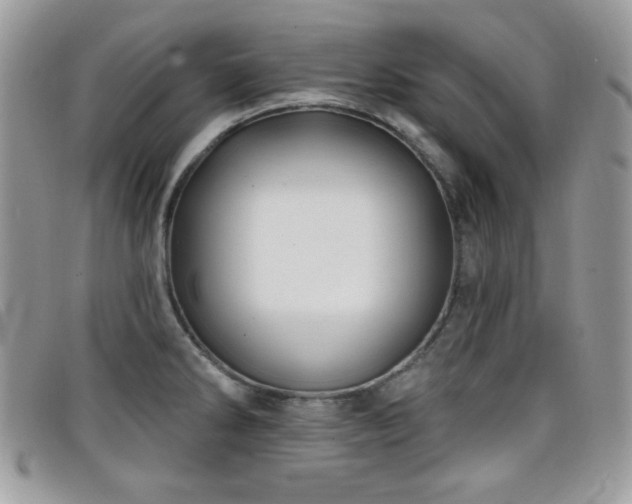 X0000099301286200805021223