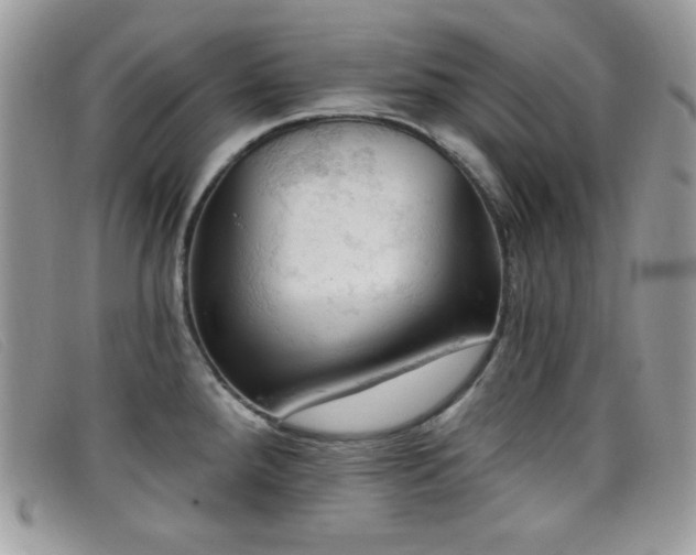 X0000099301288200805021223