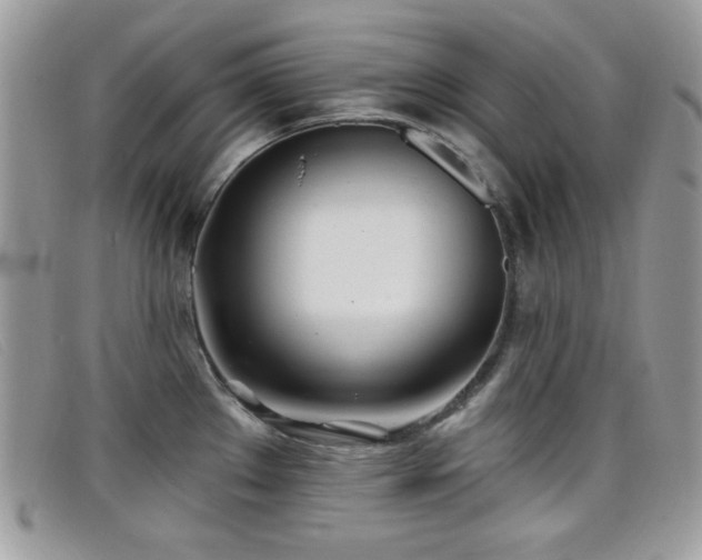 X0000099301289200805021223